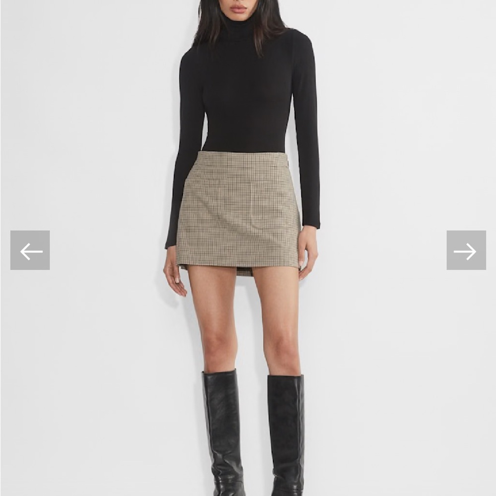Aritzia Mini Skirt
